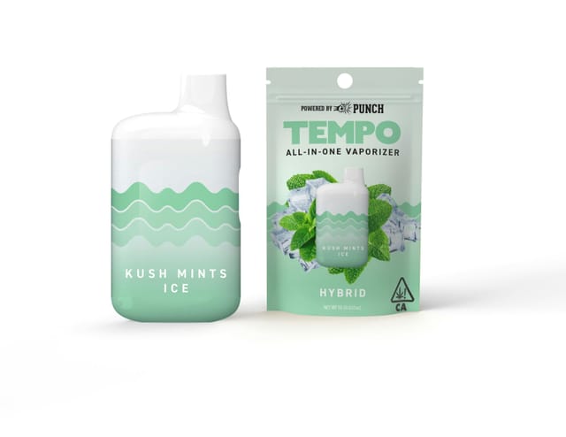 Kush Mints Ice - Disposable
