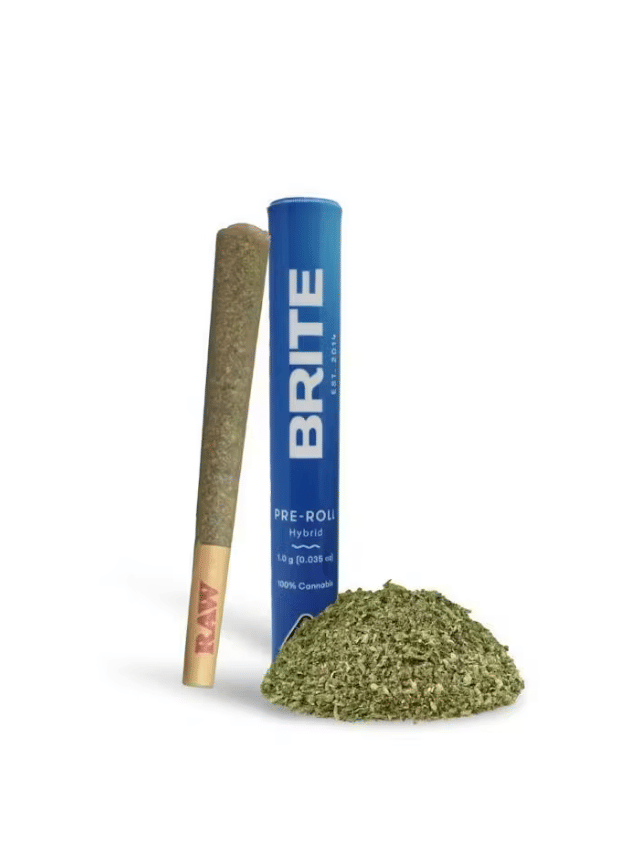 Glitter Bomb - Pre Roll