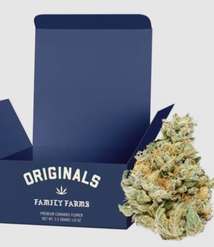 SFV OG