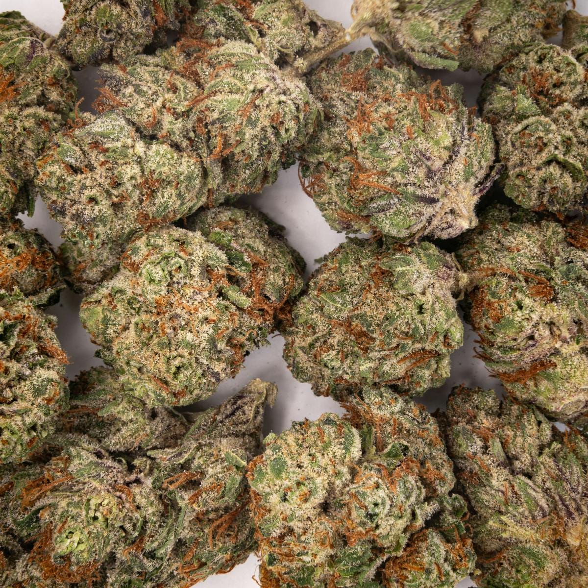 Garlic OZ
