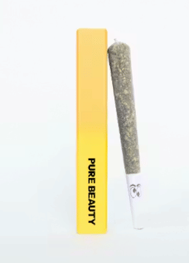 Crescendo - Infused Solventless Preroll - Infused PR - Sativa