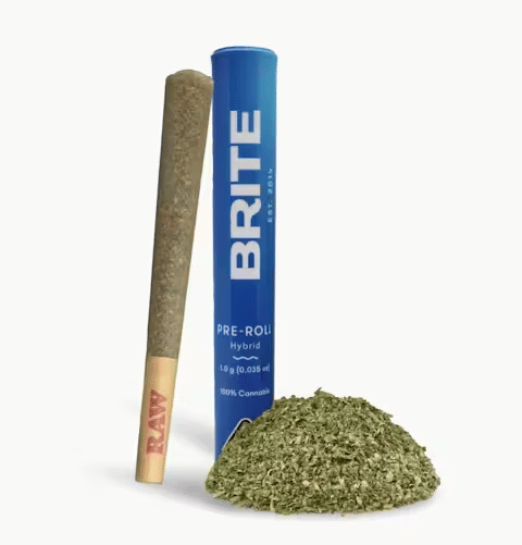 Mimosa - Preroll - Preroll - Hybrid