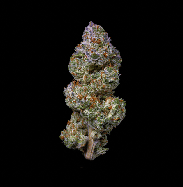 7g THE COUGH HAZE