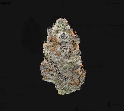 14g - BUBBLEGUM GUSHERS